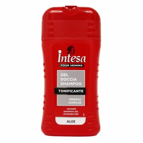 Intesa pánský sprchový gel 2v1 250ml