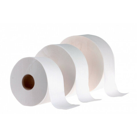 Toaletní papír JUMBO 2 vrstvý celulóza, průměr 24cm, 160m