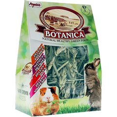 Apetit BOTANICA zelená pochoutka pro hlodavce 70g