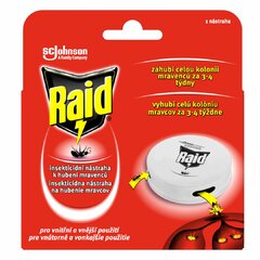 Raid nástraha na mravence