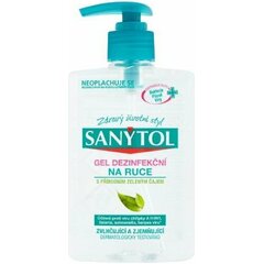 Sanytol - Die hochwertigsten Sanytol unter die Lupe genommen